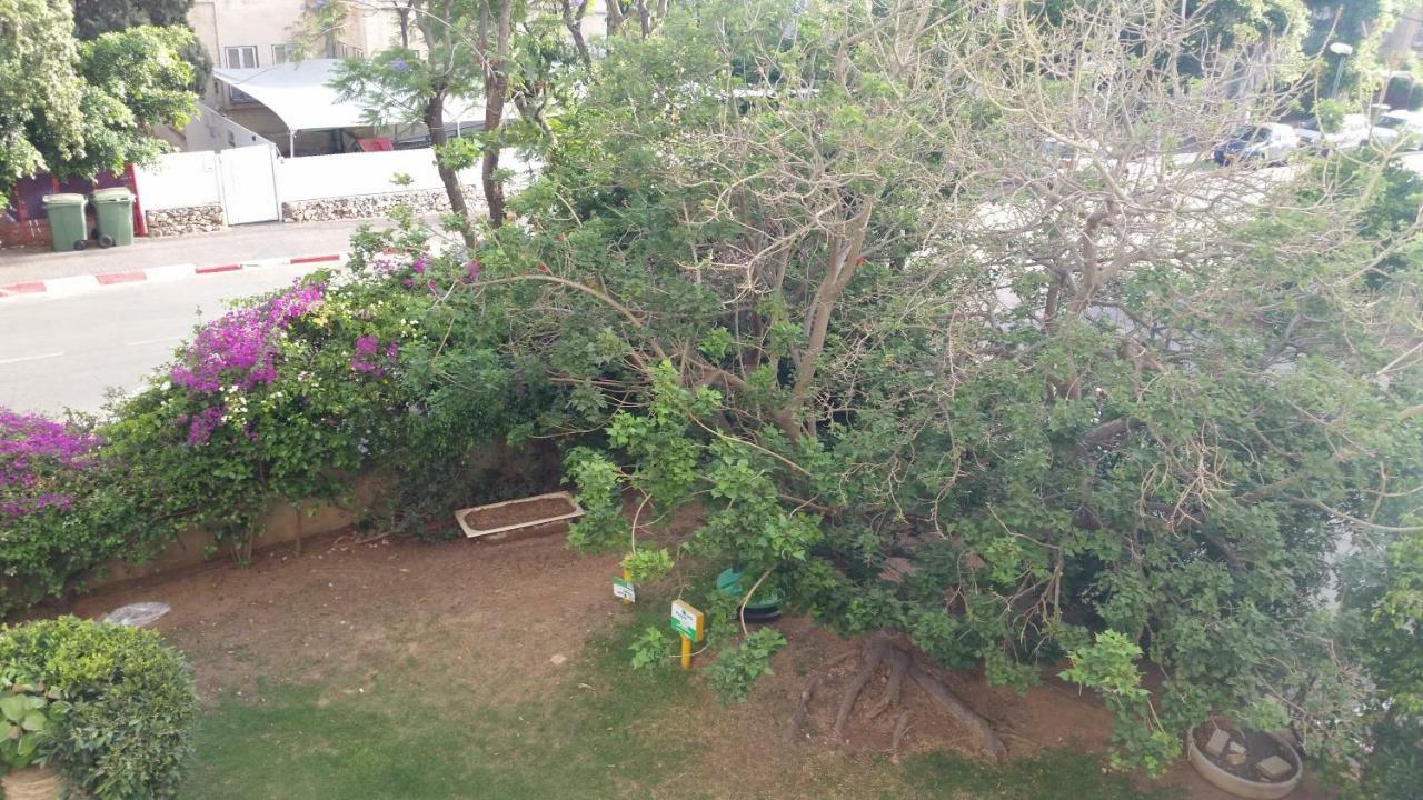 Herzliya Center Apartments Εξωτερικό φωτογραφία